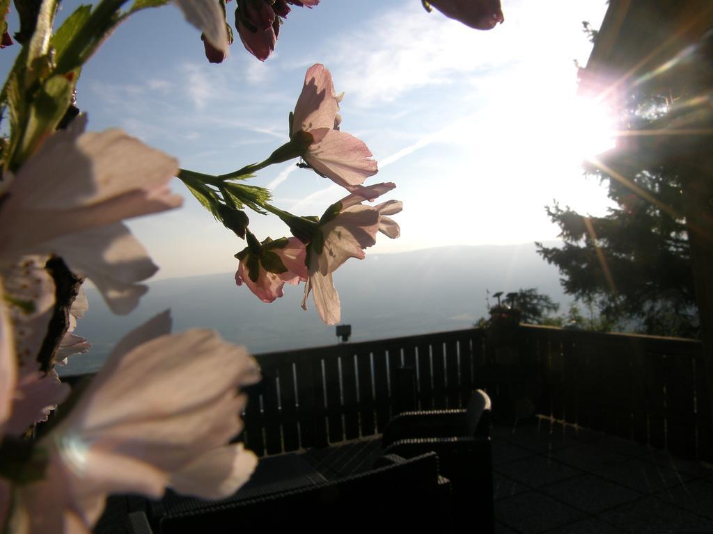 Hotel Garni Gaestehaus Karin Sankt Stefan im Lavanttal Kültér fotó