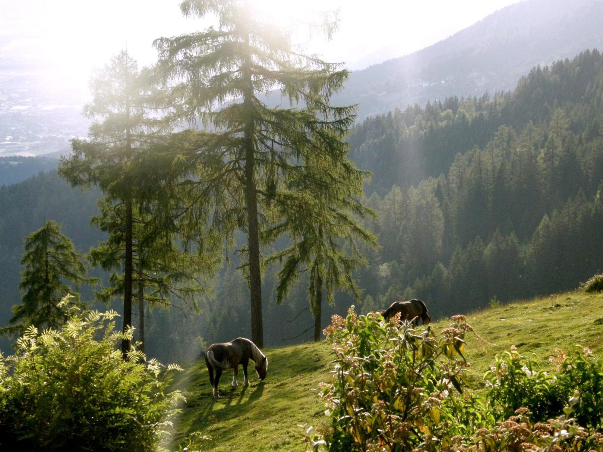 Hotel Garni Gaestehaus Karin Sankt Stefan im Lavanttal Kültér fotó