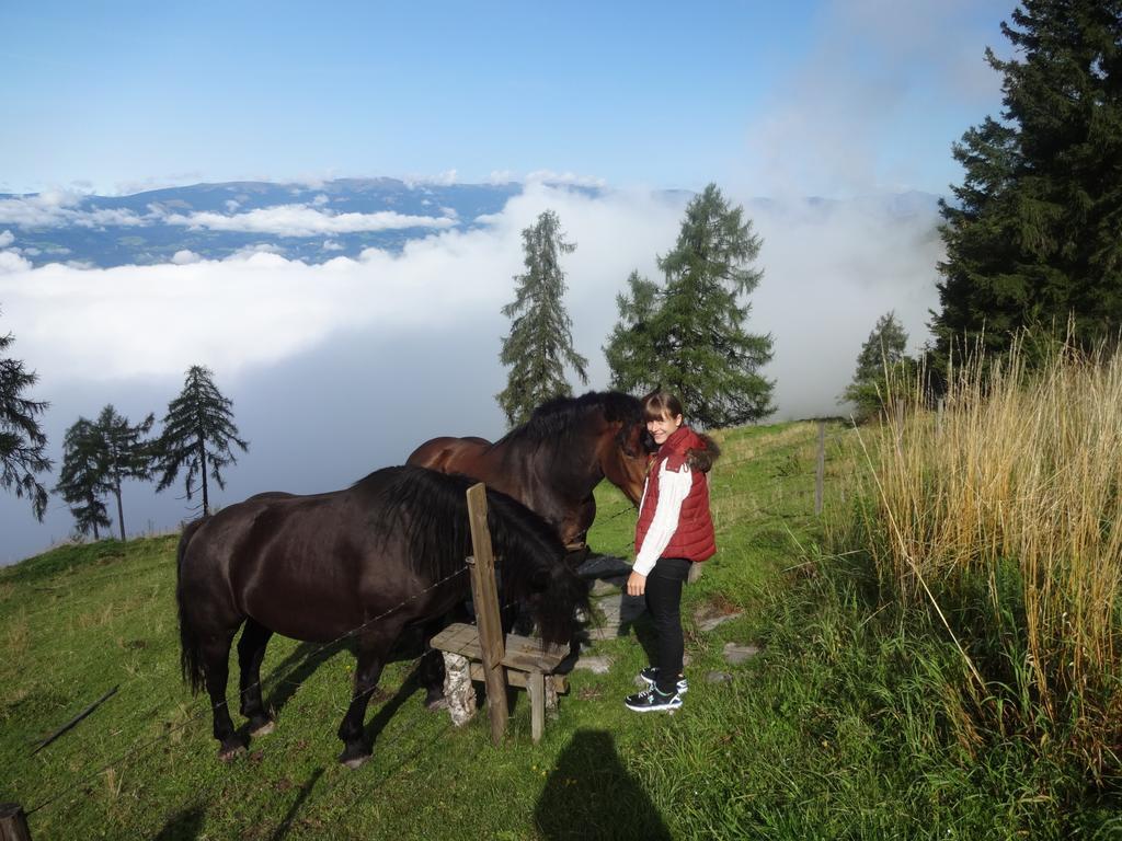 Hotel Garni Gaestehaus Karin Sankt Stefan im Lavanttal Kültér fotó